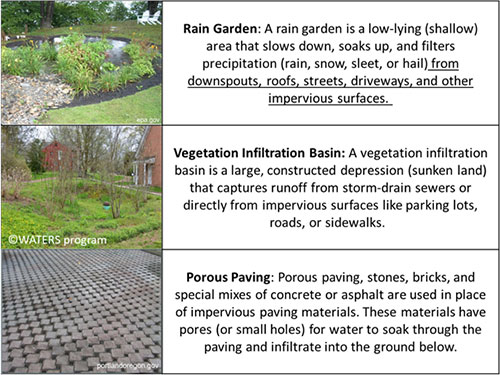 Examples include rain gardens, vegetation infiltration basin, and porous paving