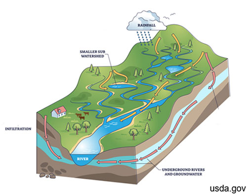 Diagram of a storm drain carrying runoff from streets and rooftops into a stream